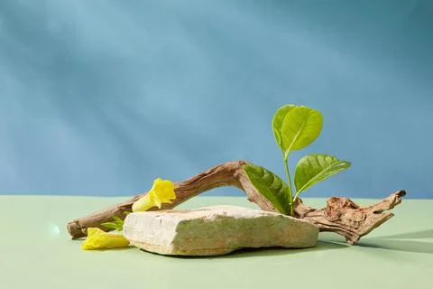 On a blue background with leaf shadow, a gray stone podium decorated with gre Stock Photos