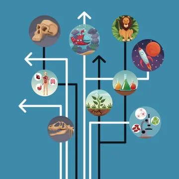 Blue background lines and arrows connected to icons world evolution Illustrazione stock