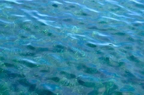 Blue background 库存照片