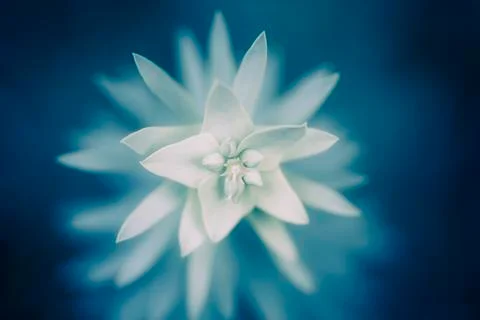 Blue background Stock Photos