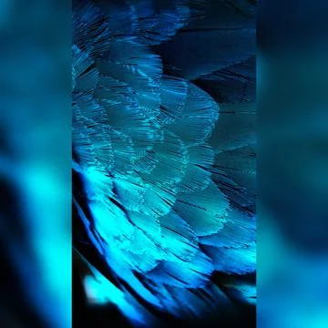 Blue background Stock Photos