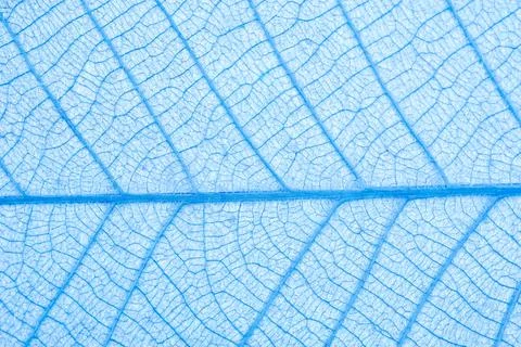 Blue background Stock Photos