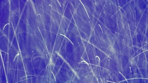 Blue background rain drops splash, dancing rain drops Stock Footage 215760628