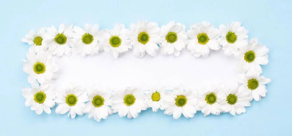 On a blue background is a rectangular frame of flowers. Postcard, greetings c Stock Photos