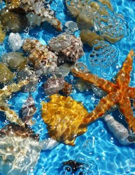 Blue background with seashells.Summer holiday relax background Foto stock