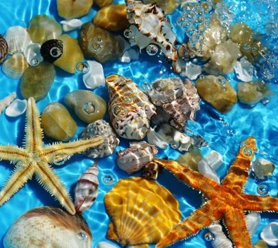 Blue background with seashells.Summer holiday relax background Stock Photos