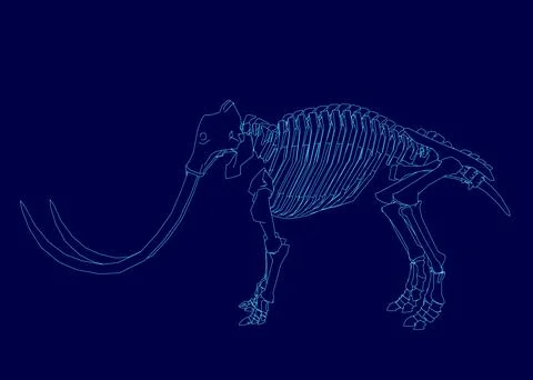Blue background with a skeleton of a large animal with a long tusk. The skeleton Stock Illustration
