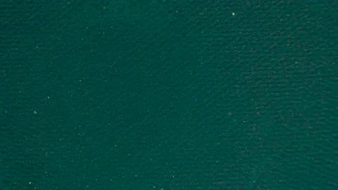 Blue Background With Sparkles Vídeos de archivo 169434702