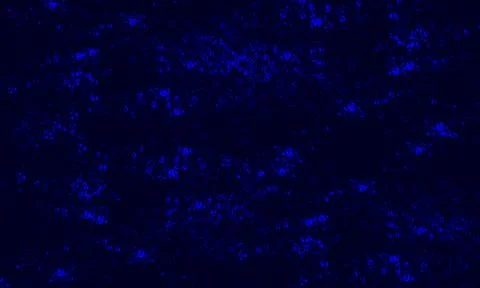 Blue background texture. Abstract grunge decorative dark blue wall background. Stock Illustration