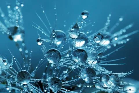 Blue background of water drops falling on small plants Stock Photos