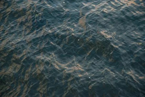 Blue background of the water surface Stock Photos