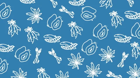 Blue background with white outlines of avocado, star anise, and pea pods 库存影片 333466456