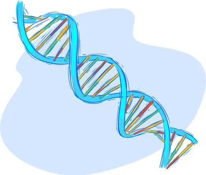 Blue backround Vector illustration of a DNA Stock Illustration