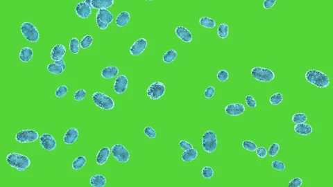 Blue bacteria rain down on a green screen. 3D animation. Scientific concept. Stock Footage 279765212