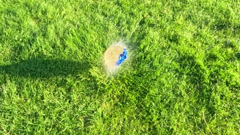 Blue balloon bursting on grass with dynamic splash Stock Footage 320136364