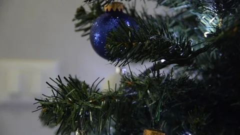Blue balls on a Christmas tree (D5C 2604) Stock Footage 83399081