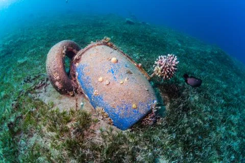 Blue barrel Stock Photos