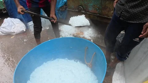 Blue Basket Being Filled with Ice to Keep Fresh Fish Chilled Vidéo 343154777