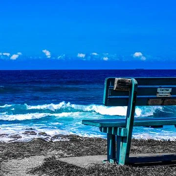 Blue bench keeps watch over indian ocean grey grass - Copy Stock Photos