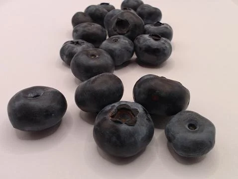 Blue berries in hands Foto stock