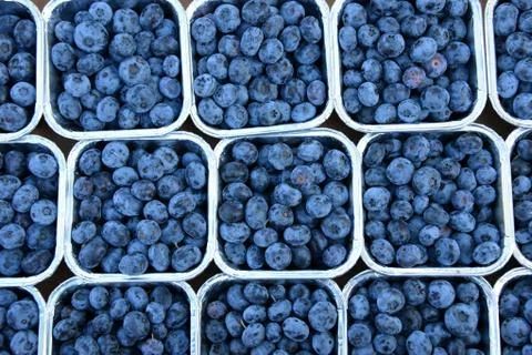 Blue berries Stock Photos