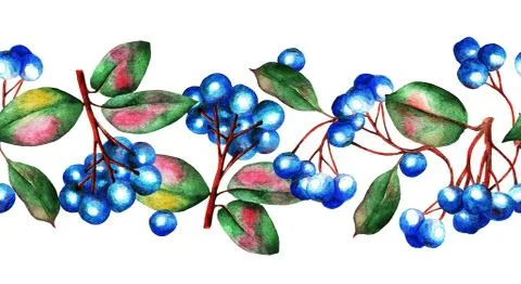 Blue berries, seamless pattern, waterolor Stock Illustration