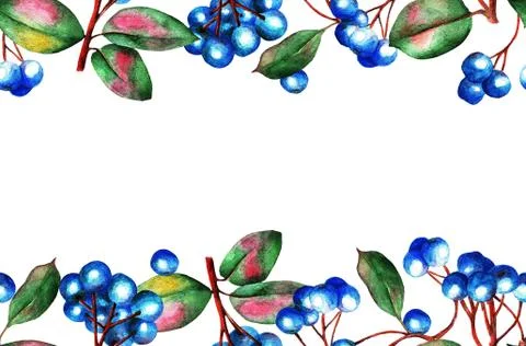 Blue berries, seamless, pattern, waterolor Stock Illustration