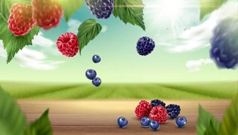 Blue berry and raspberry background Illustrazione stock