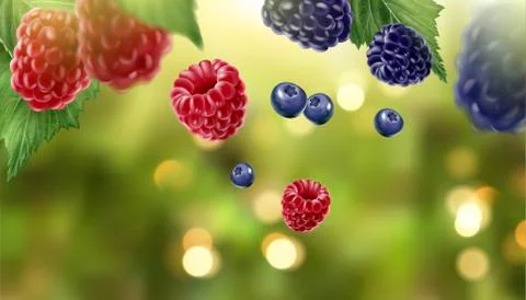 Blue berry and raspberry elements Illustrazione stock