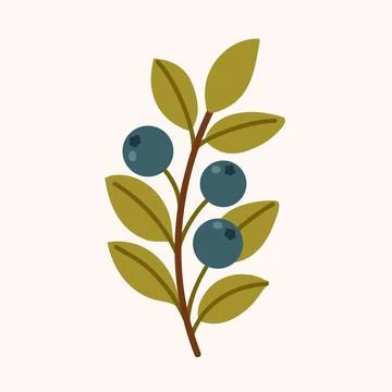 Blue Berry Branch Flat Vector Illustration Stock Illustration