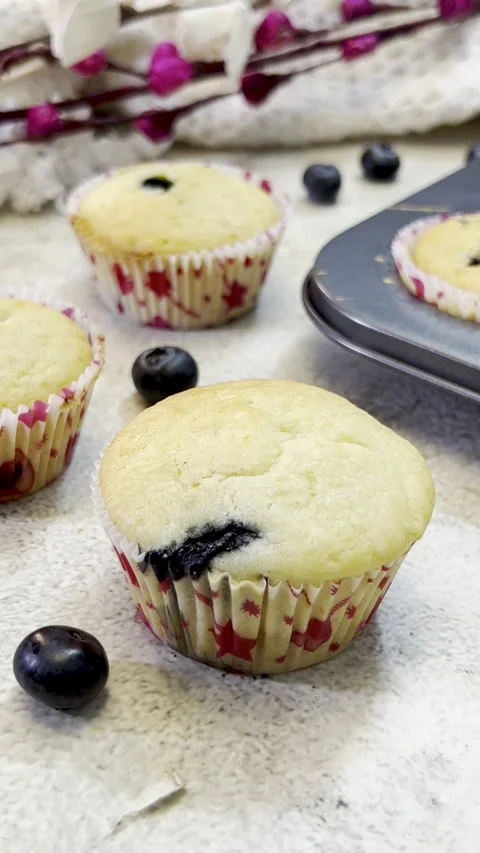 Blue berry cup cake isolated with blue berry on white background. Stock Footage 287811291