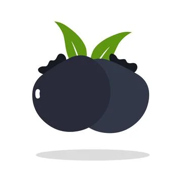 Blue berry icon logo vector illustration isolated on white background Stock Illustration