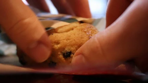 Blue Berry Scone Hand Stock Footage 126669645
