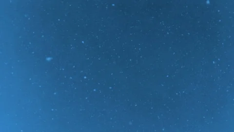 Blue big slow snowflakes in the sky Stock Footage