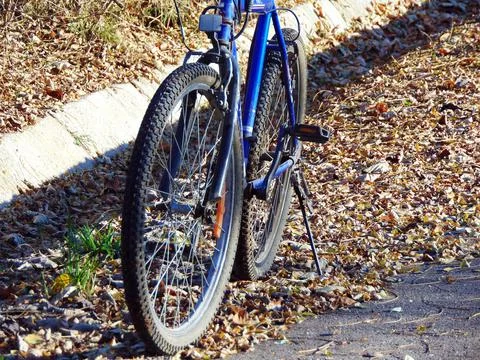 A blue bike on the leafs Photos