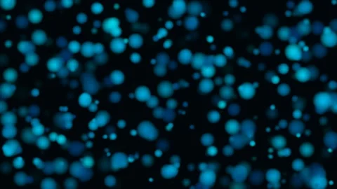 Blue Bioluminescent Particles Floating on Black Background Stock Footage 340987179
