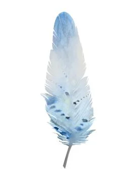 Blue bird feather. Design for a invitation, greeting, card, postcard, textile Stock Illustration