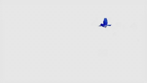 Blue Bird - Flying Around Loop - Alpha Channel Stock Footage 203667471