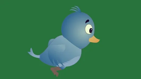 A blue bird on green background and green screen animated chromakey background Video stock 335067987