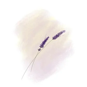 Blue bird Stock Illustration