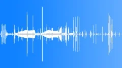 Blue Bird of Paradise Sound Effect