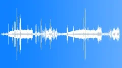 Blue Bird of Paradise Sound Effect