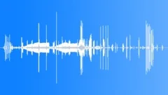 Blue Bird of Paradise Sound Effect