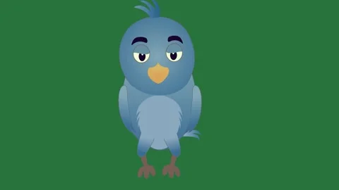 A blue bird sitting on green background and green screen animated chromakey Stock Footage 335067930