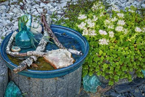 Blue birdbath with wasps Stock Photos