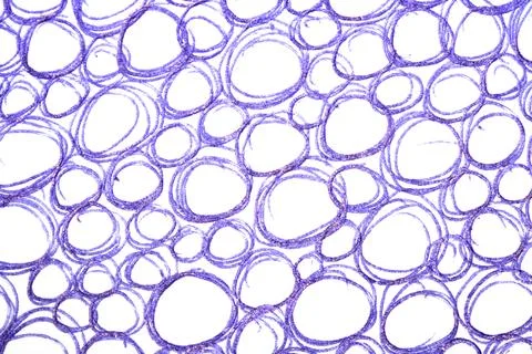 Blue biro pen scribble doodles round circles background Foto stock