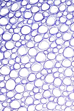 Blue biro pen scribble doodles round circles background Foto stock