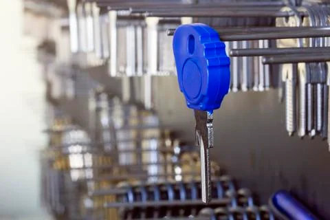 Blue blank key Stock Photos