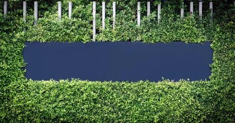 Blue blank labels for text or image logos framed by green leaves. Stock Photos