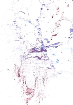 Blue Blot Illustrazione stock